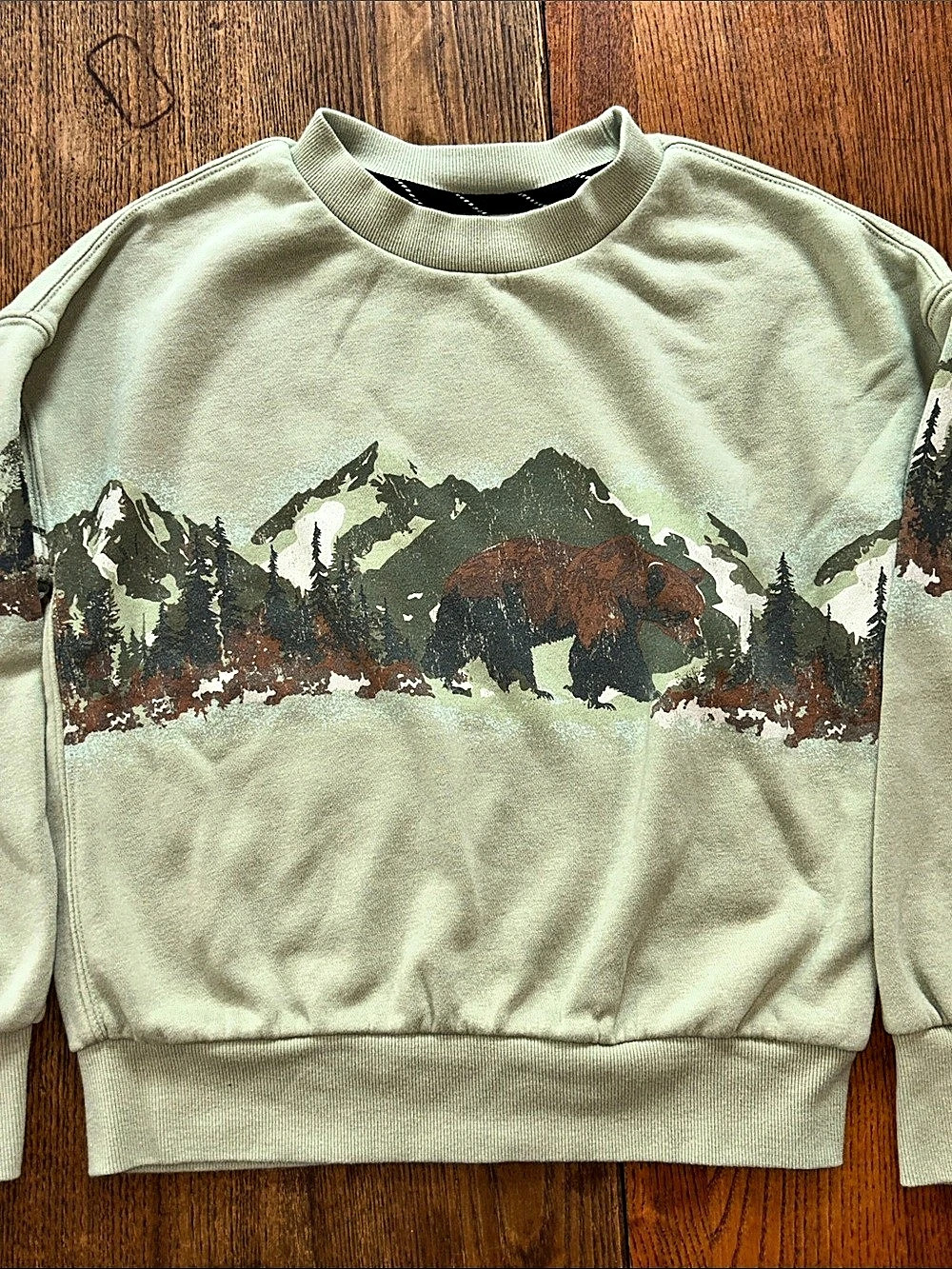 art 🖼️ class Bear 🐻 Mountain 🏔️ Graphic Sweatshirt 🐻 SOFT like 🆕